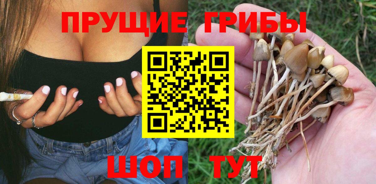 Котельники  Галлюциногенные грибы MAGIC MUSHROOMS  Вход с VPN 